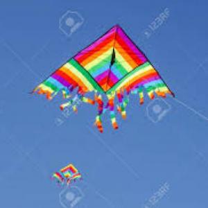 FLY, KITE, FLY!!!
