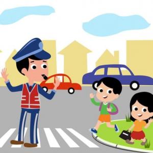 Educación vial