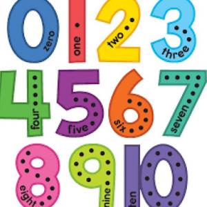 NUMBERS AND PETS
