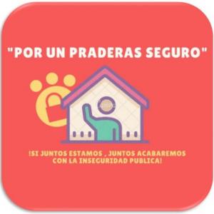 Proyecto Inseguridad Publica