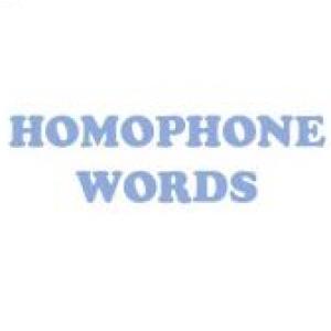 Portada del juego HOMOPHONE WORDS – Idiomas