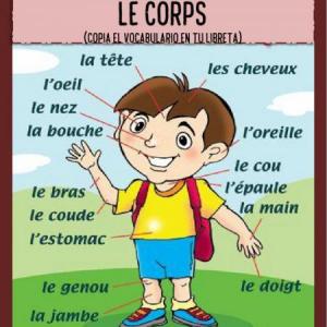 A1 - LES PARTIES DU CORPS