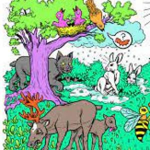 Exploración de la naturaleza