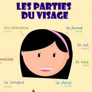 Mémoire et jeu du pendu des parties du visage 