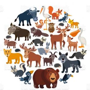 Trivia game (animals)