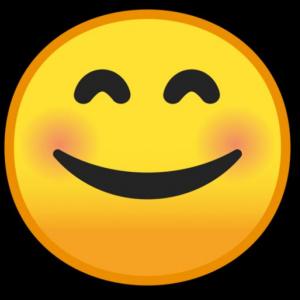 Causative have