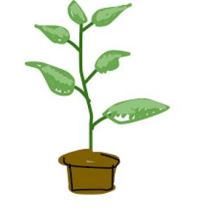 Imagen de portada del videojuego educativo: El reino de las plantas, de la temática Ciencias