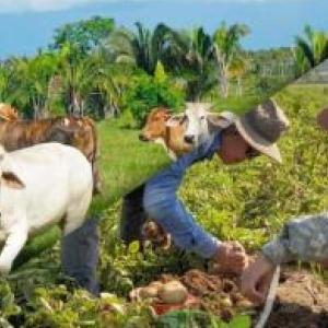 Agricultura y ganadería 