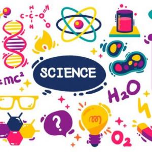 ciencia ocupacional