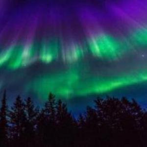 Animales de Saturno y Plutón