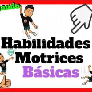 HABILIDADES MOTRICES