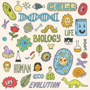 CIENCIAS NATURALES