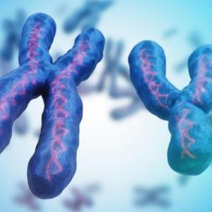 Biología 2BGU