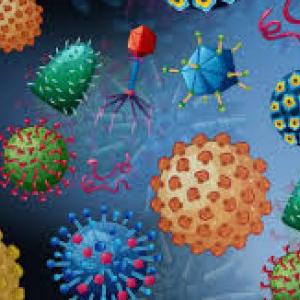 Virologos en pañales