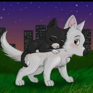 Portada del juego animales – Idiomas