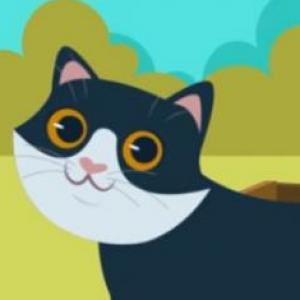 Portada del juego Where is Chester??? – Idiomas