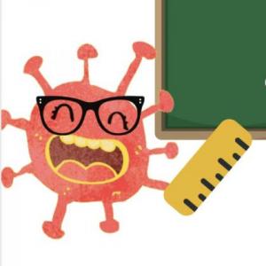 Manual de expertos coronavirus.