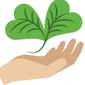 Preguntas del medio ambiente