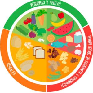 el plato del buen comer
