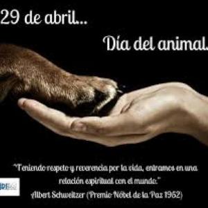ANIMALES