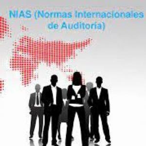 Evidencia de auditoria NIA´s 560, 570 y 580.