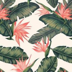Plantas