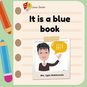 It is a blue book