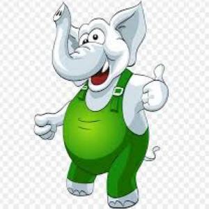 Memoria de elefante