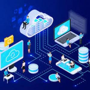 Hardware y software 