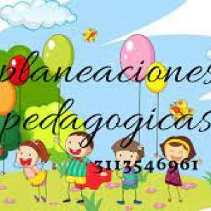 Principios por considerar al planificar la practica pedagógicas