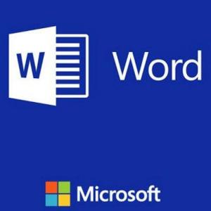 Identificando las opciones de Microsoft Office Word