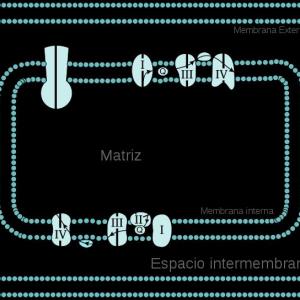 trivia de electrones