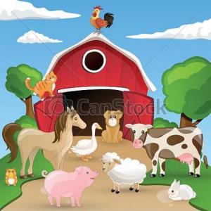 Animales domestico 
