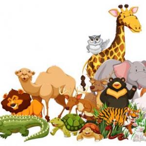 Imagen de portada del videojuego educativo: Coincidencias de animales, de la temática Biología