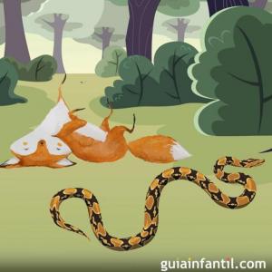 El zorro y la serpiente