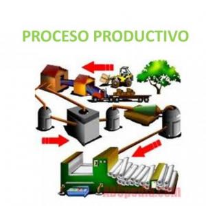 Etapas de los procesos de producción.
