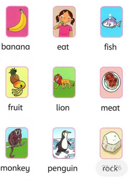 WHAT DO ANIMALS EAT?