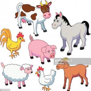 ANIMALES DOMÉSTICOS
