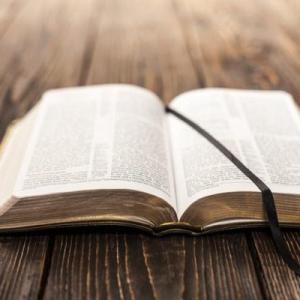 La biblia