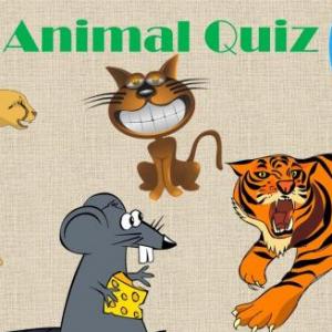 test your knowledge
