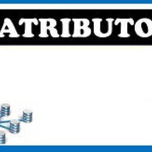 Pautas para reconocer al "ATRIBUTO"