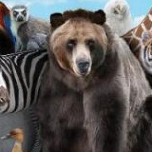Animales domésticos y salvajes