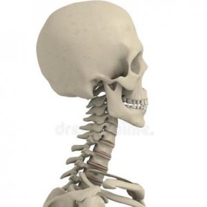 BIOMECANICA CERVICAL