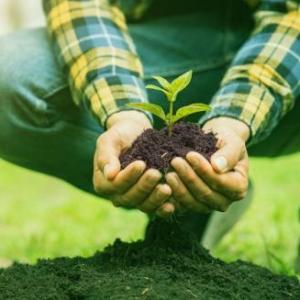 AGROECOLOGIA 8