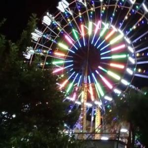 feria de san lucas