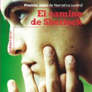 El camino de Sherlock 