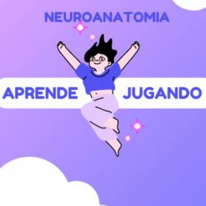 Imagen de portada del videojuego educativo: Neuroanatomía., de la temática Salud