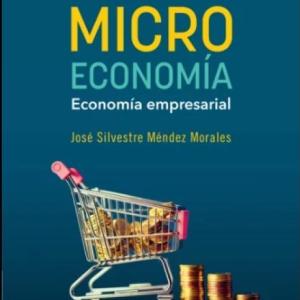 Microeconomía I