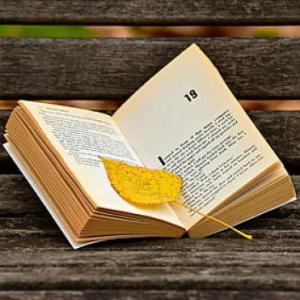 Autores, libros, autores...