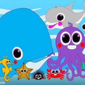 Imagen de portada del videojuego educativo: Animales acuáticos, de la temática Medio ambiente